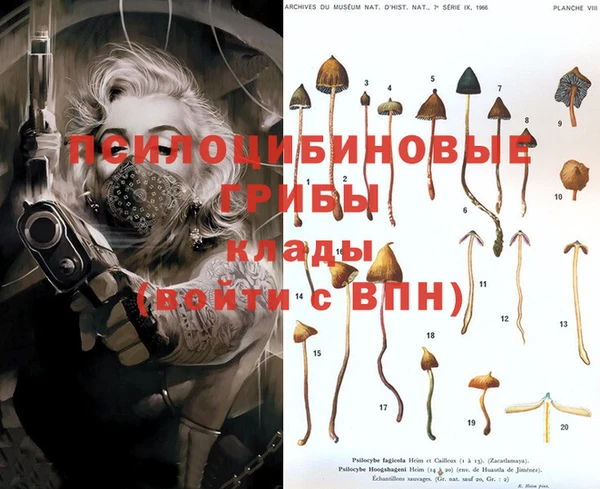 кокс Абдулино