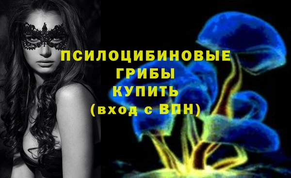 кокс Абдулино